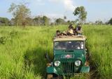 Yala National Park